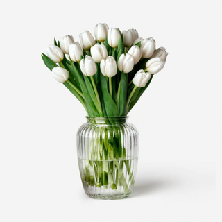 Cartucho Tulipanes Blancos