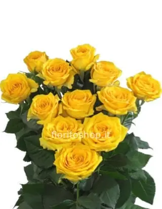 10 Rose gialle grandi