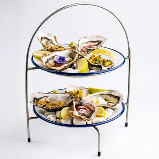 Устричне плато