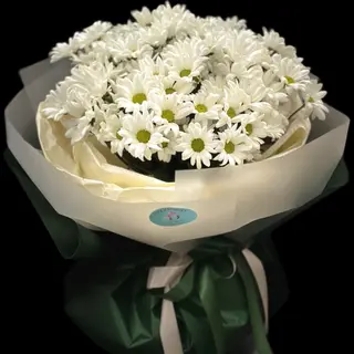 ქრიზანთემა
