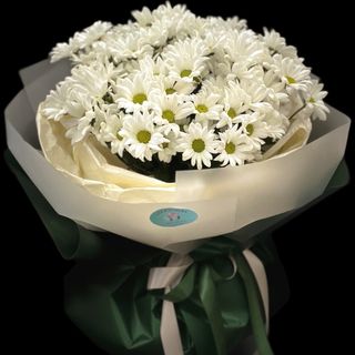 ქრიზანთემა