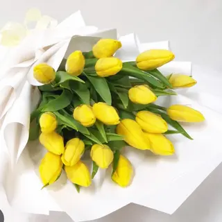 Tulipani gialli