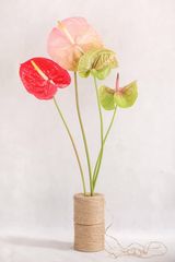 ანთოლიუმი 3 ც