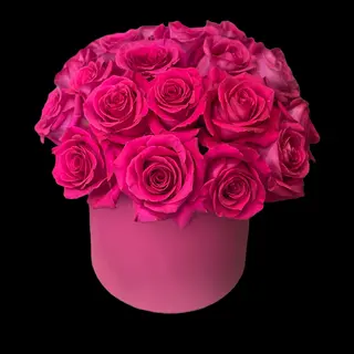 23 Premium Roses