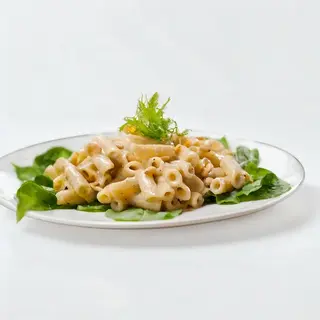 Patte 4 fromage