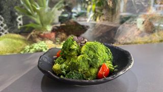 Brocoli sote