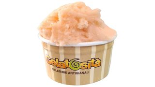 Gelato al melone senza lattosio - vegan 250gr
