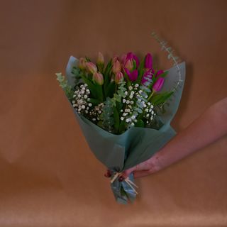 Tulipani dvadeset komada i dekoracija 