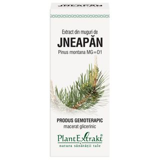Extract din muguri de jneapan (PINUS MONT.)