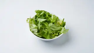 Zelena Salata