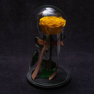 Trandafir Criogenat Galben Mare în Cupolă
