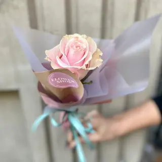 The Pink Rose