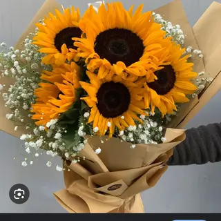 Sunshine