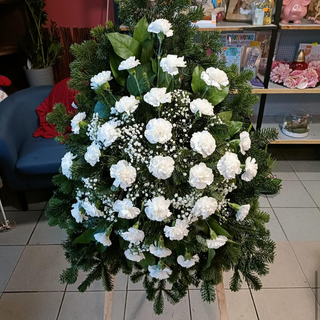 wieniec duży