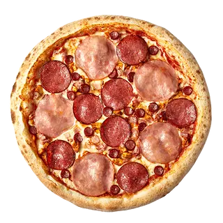 Carnivora