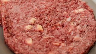 Gurmanska pljeskavica blaga