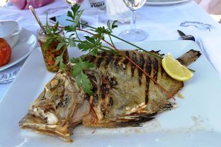 Saint Pierre Grillé