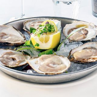 Ostras Planas De La Ría De Arosa 