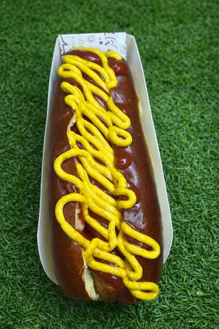 Hot Dog American