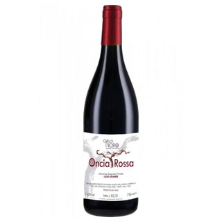 Carlo Noro - Oncia Rossa