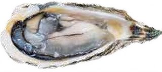 Ostras (1 Ud.)