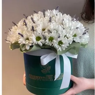 Композиция Нежное утро