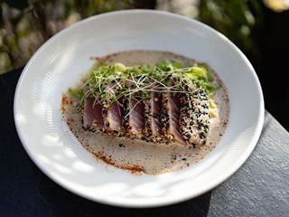 Стейк тунця у кунжуті (290g)