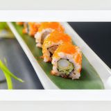 Red Dragón (8 Pzs.)