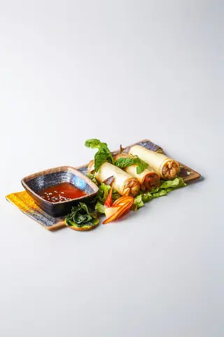  NEMS VEGETARIEN