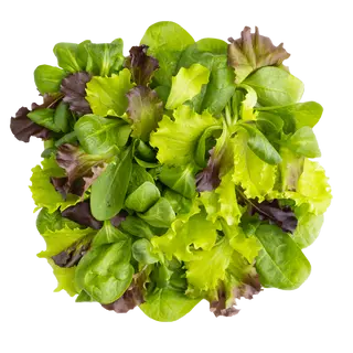 Crea la tua insalata - Crea la tua insalata