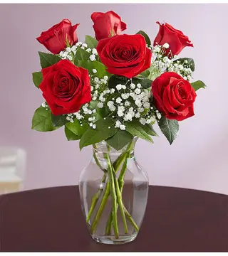 Media Docena Rosas Rojas