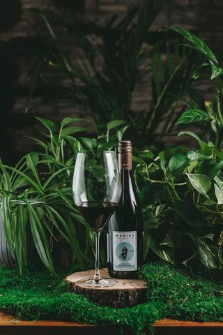 Marius Blanc Vermentino Pays DOC