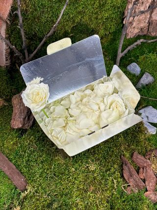 Pétales de Roses Blanches