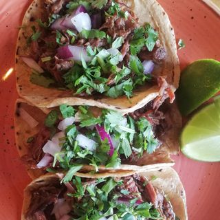 Taco Barbacoa