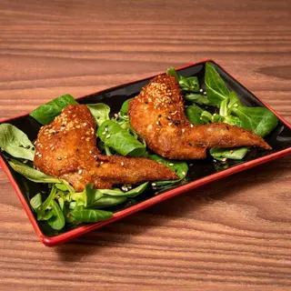 Shibuya Wings 2pz