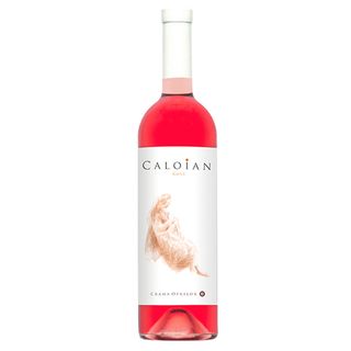 Oprisor Caloian Rose