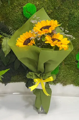 3 GIRASOLI ANNA