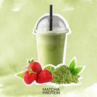 Matcha Protein