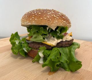 Burgerul Transilvanian