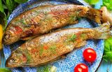 Форель на картофельной запеканке
