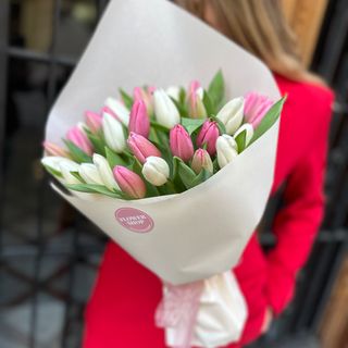 Chic Tulips