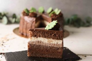 FELIE TORT LEMNUL VERDE