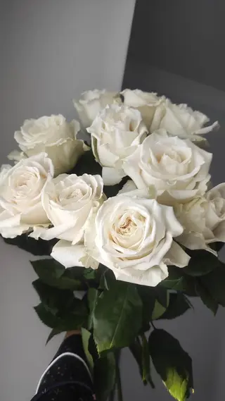 თეთრი ვარდები (10 ცალი)