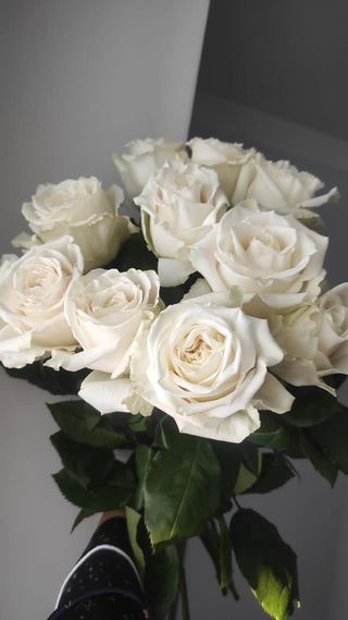 თეთრი ვარდები (10 ცალი)