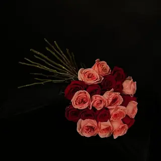 Ramo Bicolor de 21 Rosas Rojas y Pink Expression