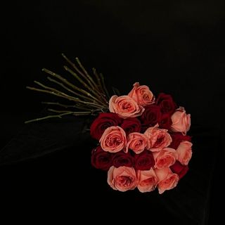 Ramo Bicolor de 21 Rosas Rojas y Pink Expression