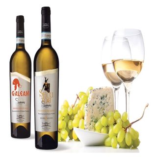 Bianco Sannio coda di volpe galeam