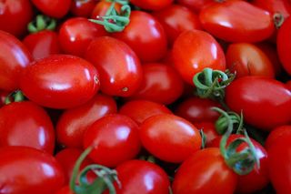 Datterino (300 grammi)