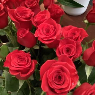 Rose gambo medio - 12 pezzi confezione regalo speciale San VALENTINO 