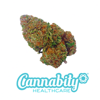 Girl Scout Cookies - 15% CBD Big Buds - Indoor, 1gr